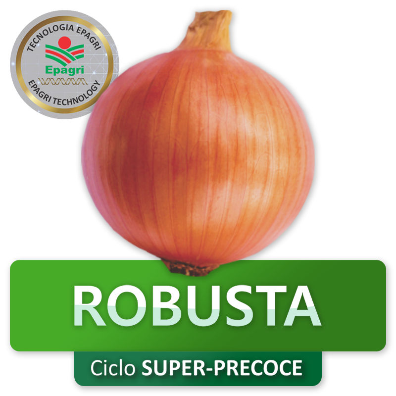 ROBUSTA - Ciclo Super-Precoce