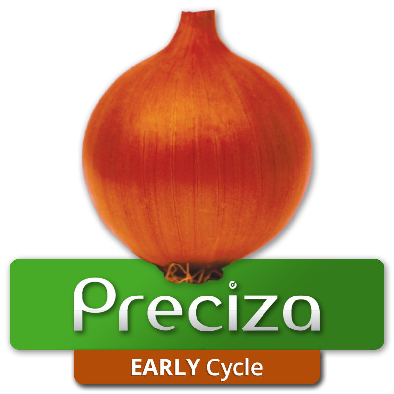 PRECIZA - Early Cycle