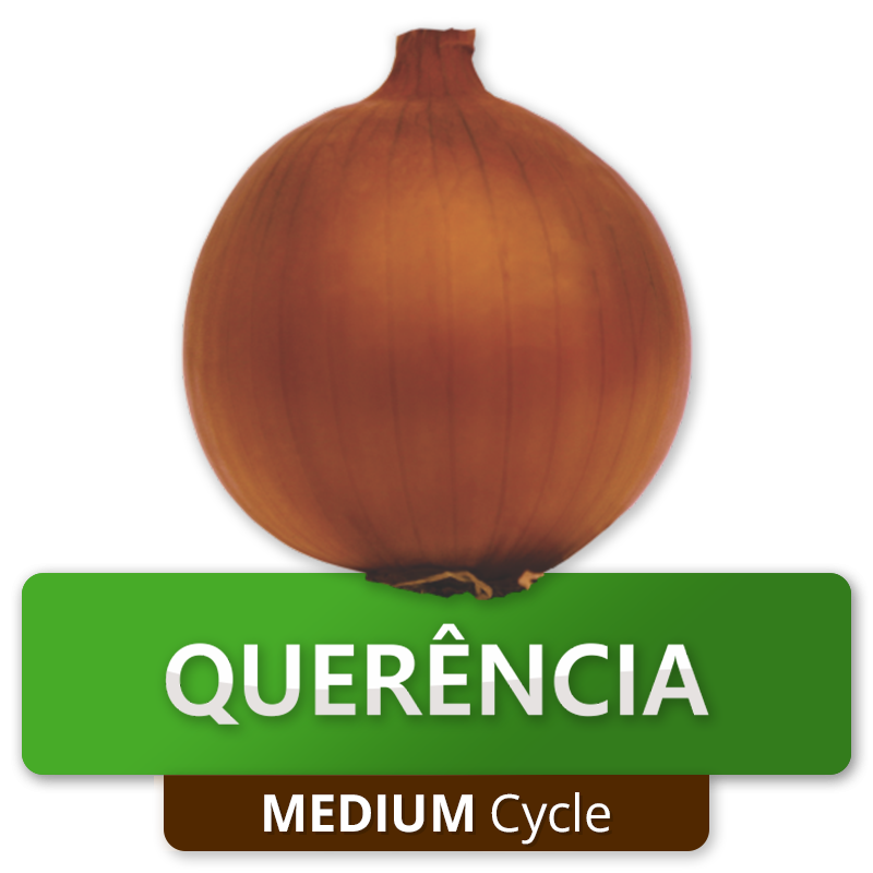 QUERÊNCIA - Mid-Cycle