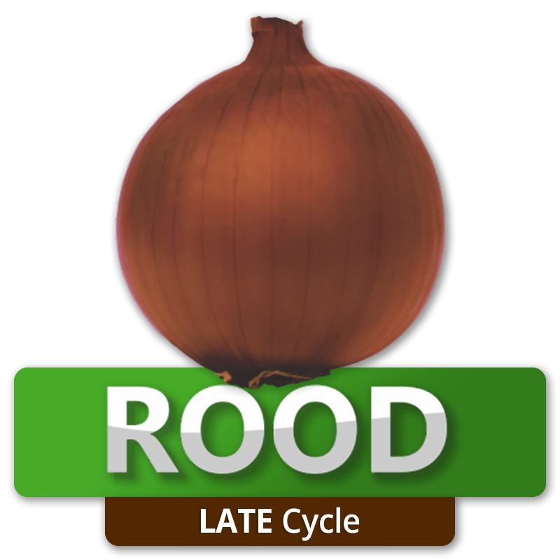 ROOD - Late Cycle
