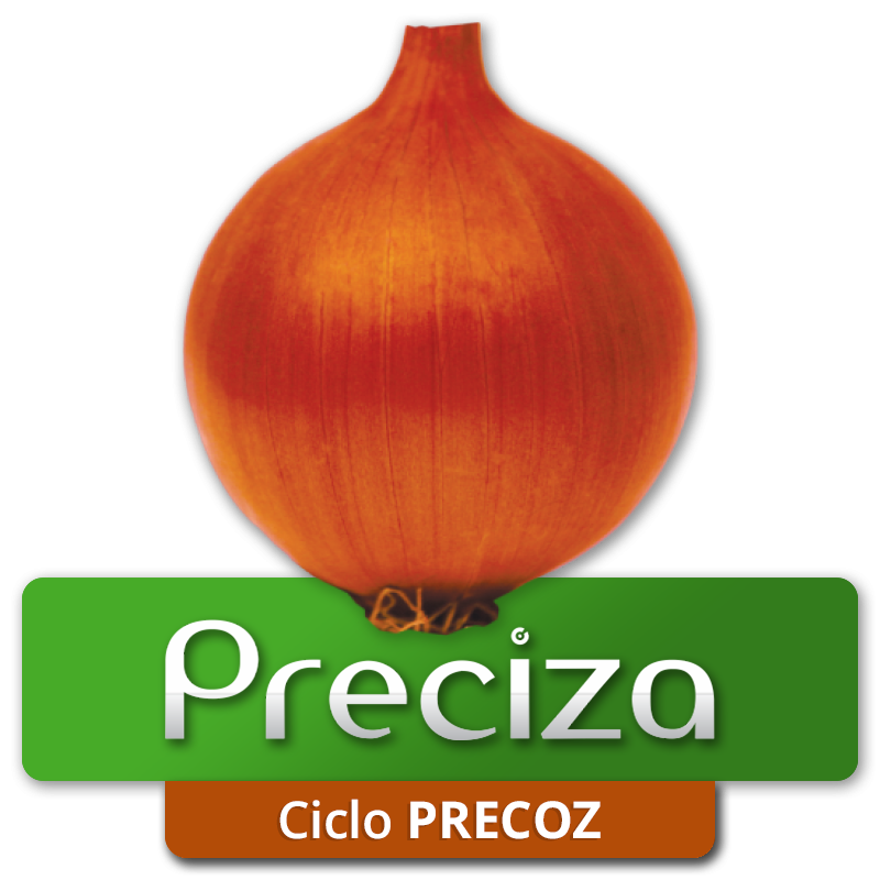 PRECIZA - Ciclo Precoz