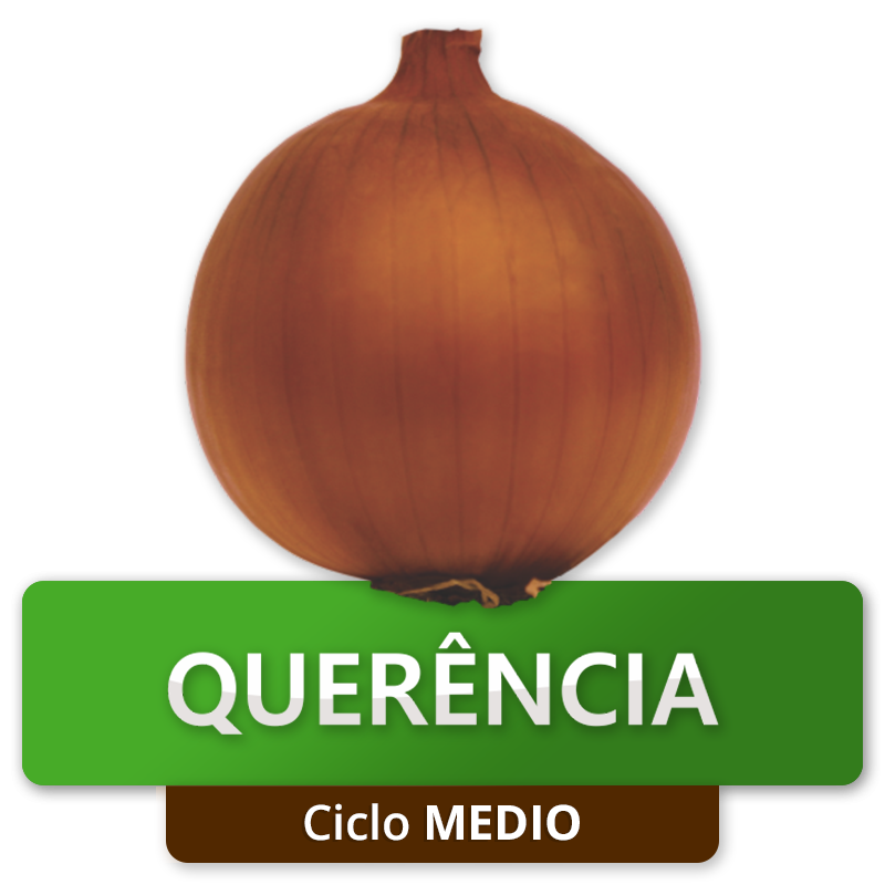 QUERÊNCIA - Ciclo Medio
