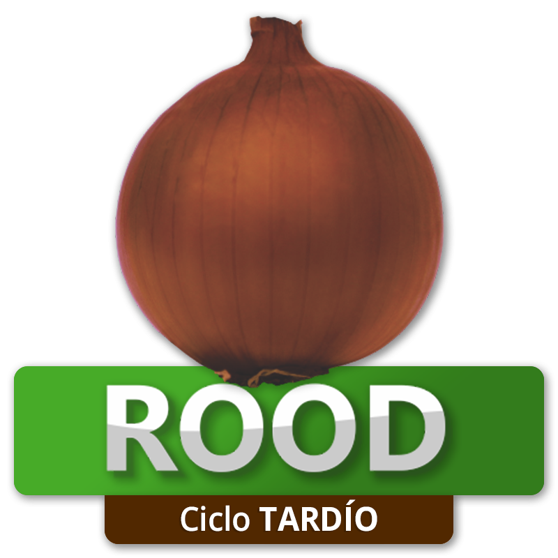 ROOD - Ciclo Tardío