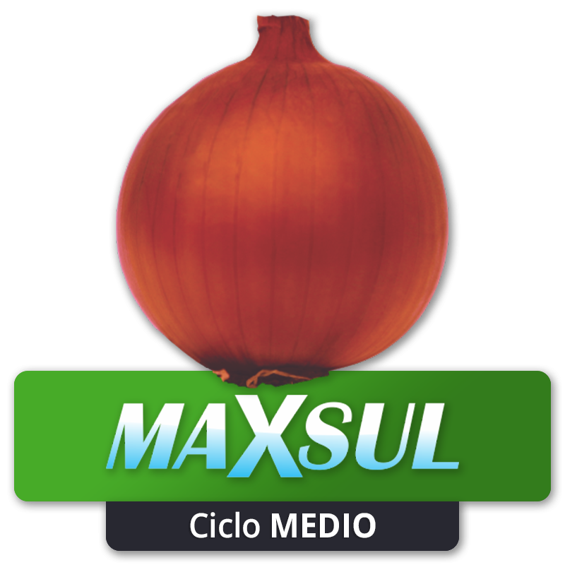 MAXSUL - Ciclo Medio