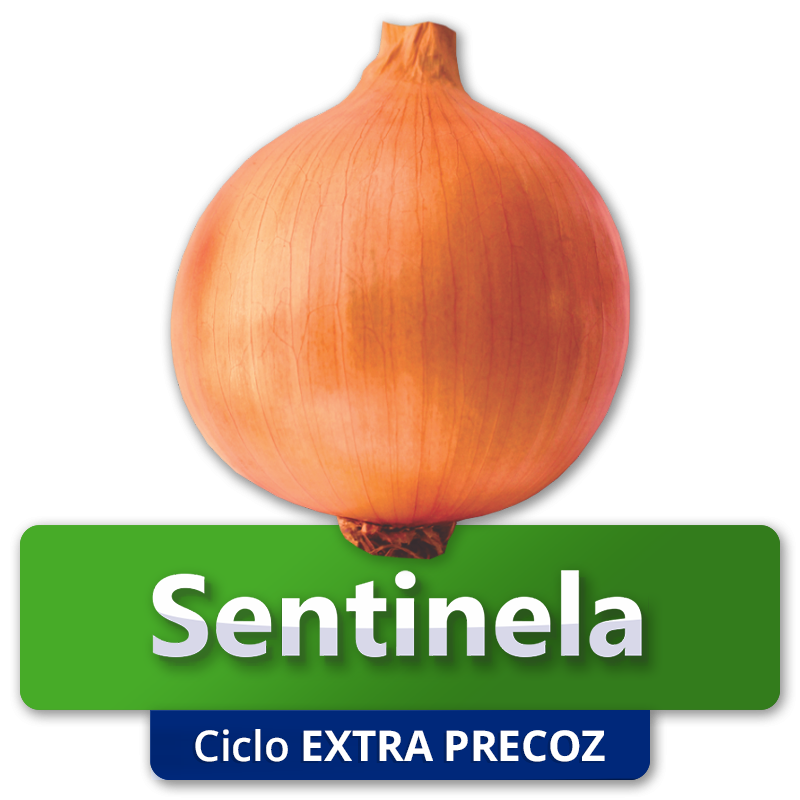 SENTINELA - Ciclo Extra Precoz